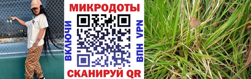 Псилоцибиновые грибы MAGIC MUSHROOMS  Кисловодск 