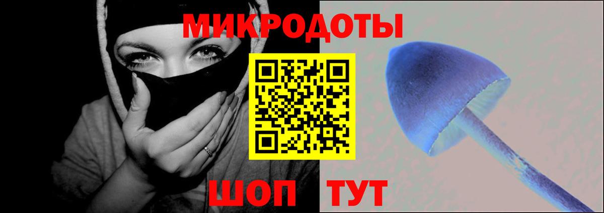 Галлюциногенные грибы Cubensis  Вход с VPN  Кисловодск 