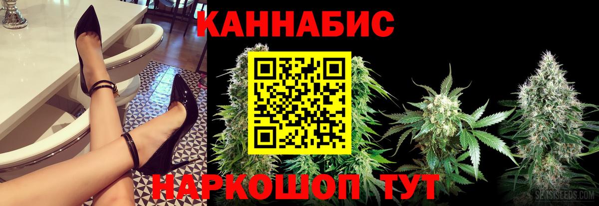 Марихуана конопля Кисловодск